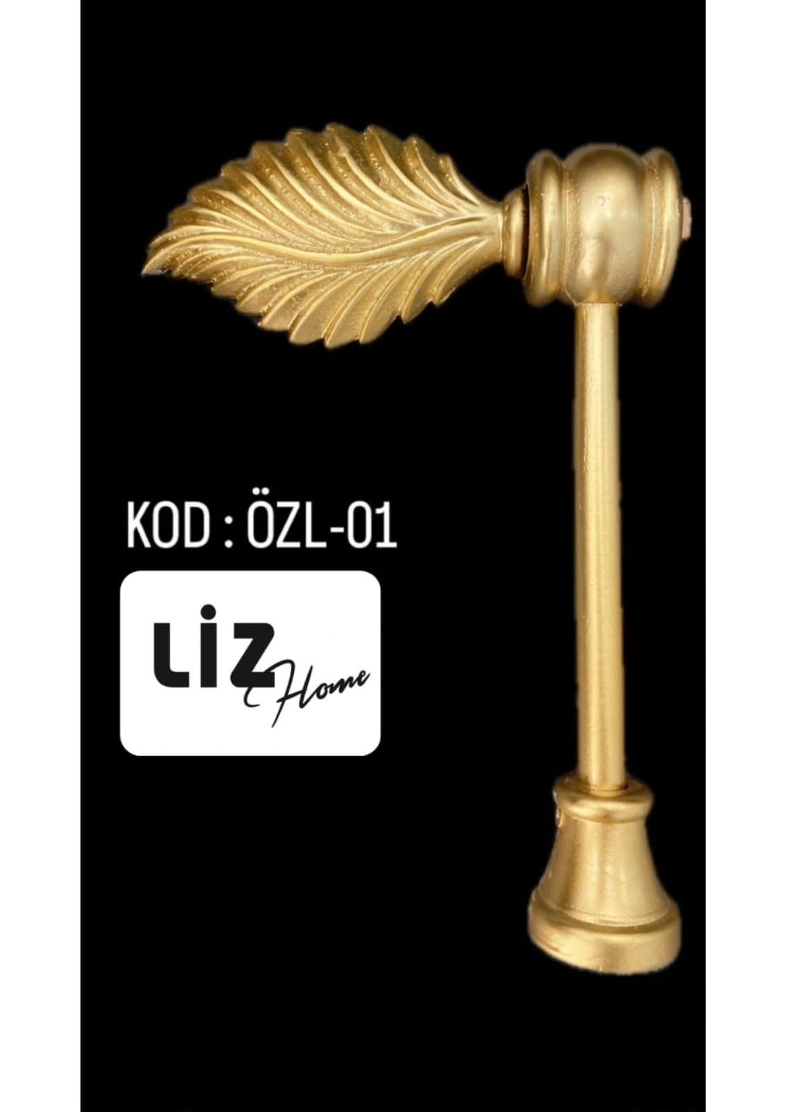 Ozl 01